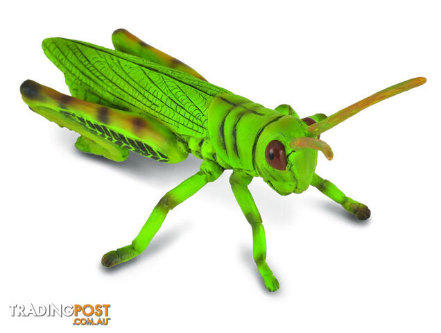 CollectA Grasshopper Animal Figurine - Rpco88352 - 4892900883526