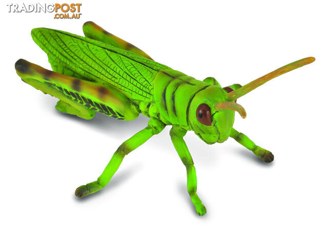 CollectA Grasshopper Animal Figurine - Rpco88352 - 4892900883526