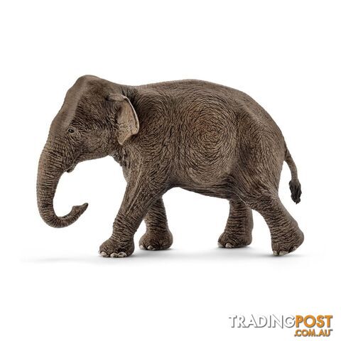 Schleich - Asian Elephant Female   Wildlife Animal Figurine Sc14753 - 4005086147539