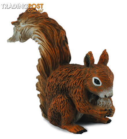 CollectA Red Squirrel Eating Animal Figurine - Rpco88467 - 4892900884677