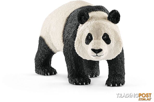 Schleich - Giant Panda Male Sc14772 - 4055744012648