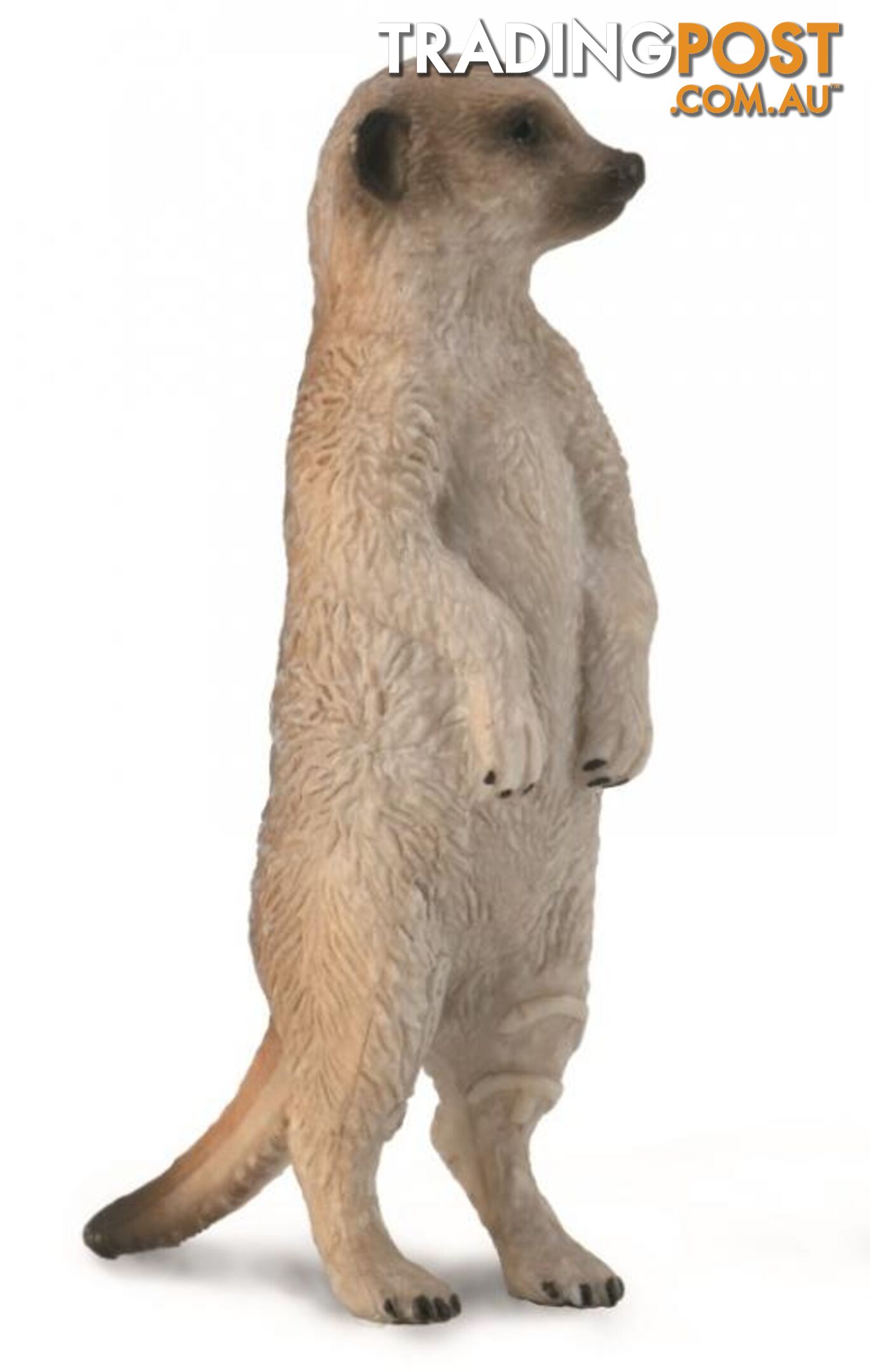 CollectA Meerkat Small Animal Figurine - Rpco88913 - 4892900889139