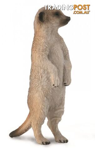 CollectA Meerkat Small Animal Figurine - Rpco88913 - 4892900889139