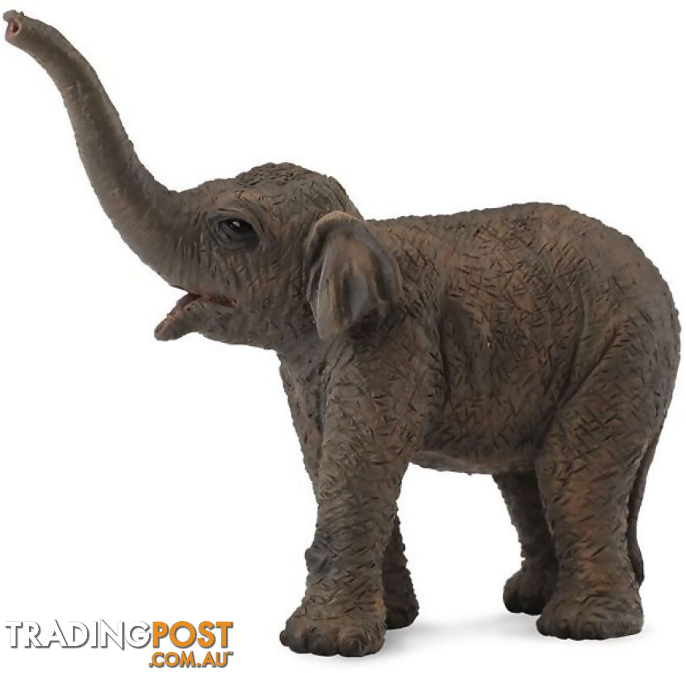 CollectA - Asian Elephant Calf Animal Figurine - Rpco88487 - 4892900884875