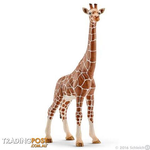 Schleich - Giraffe Female Sc14750 - 4005086147508