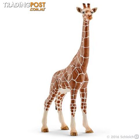 Schleich - Giraffe Female Sc14750 - 4005086147508