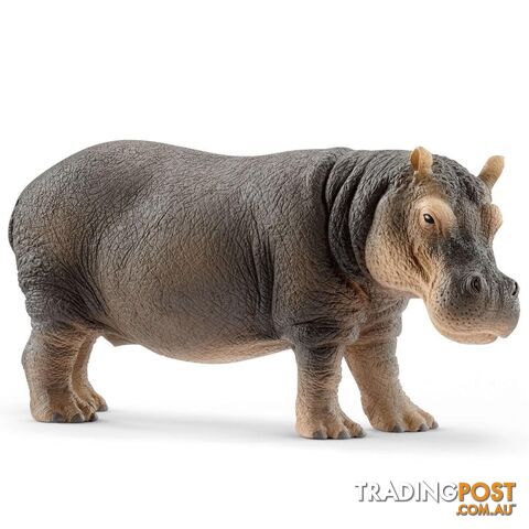 Schleich - Hippopotamus Sc14814 - 4055744020827