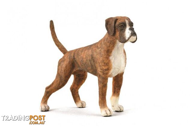 CollectA Boxer Dog Animal Figurine - Rpco88936 - 4892900889368