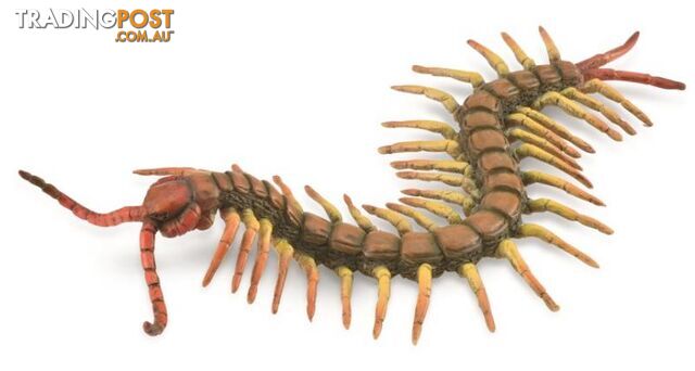 CollectA Centipede Animal Figurine - Rpco88885 - 4892900888859