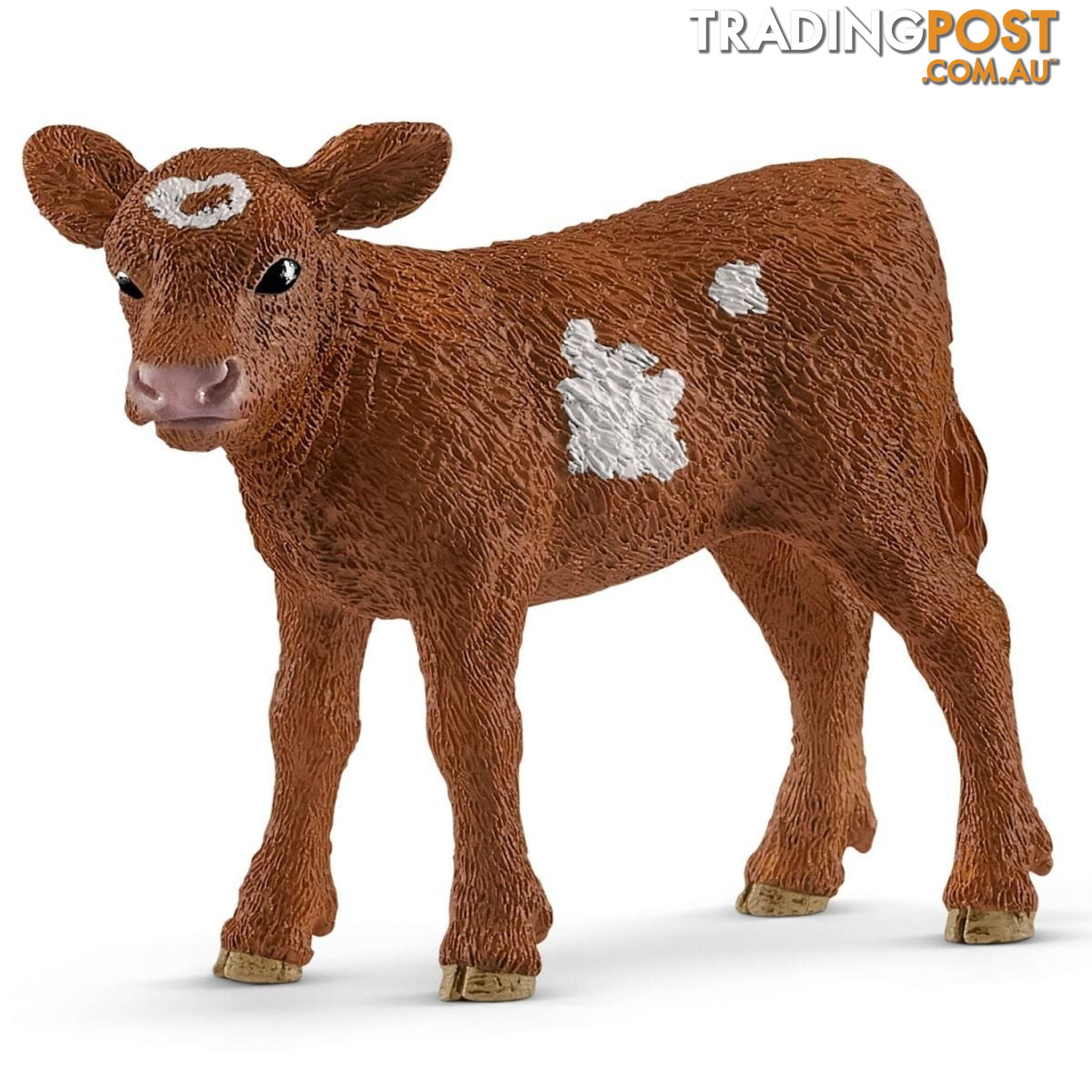 Schleich - Texas Longhorn Calf Sc13881 - 4055744029547