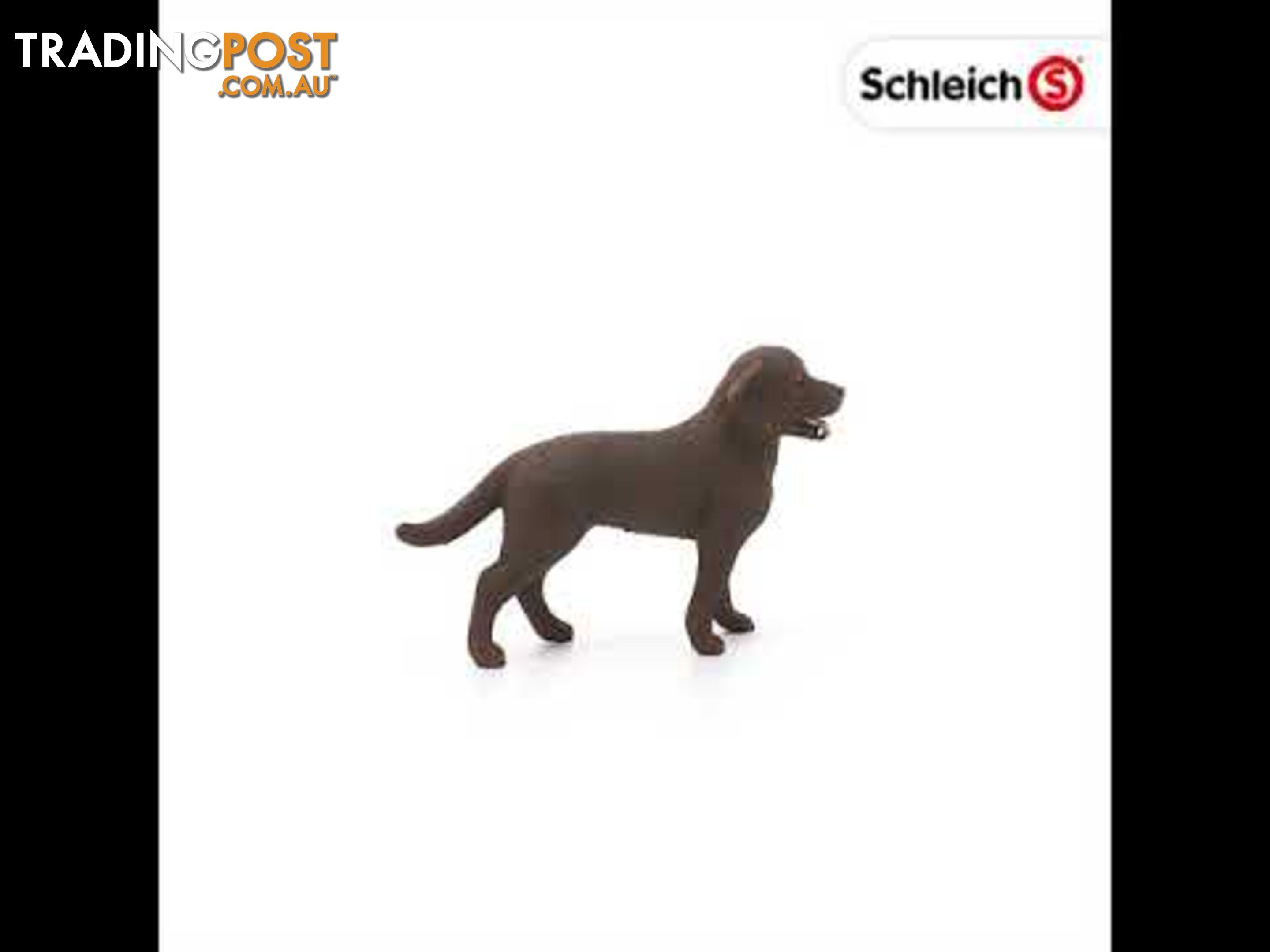 Schleich - Labrador Retriever Female Sc13834 - 4055744012556