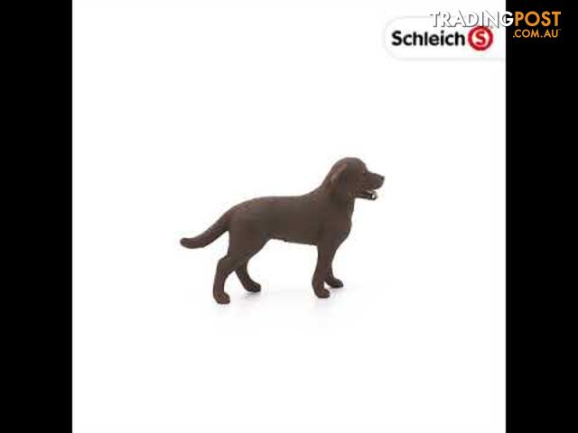 Schleich - Labrador Retriever Female Sc13834 - 4055744012556