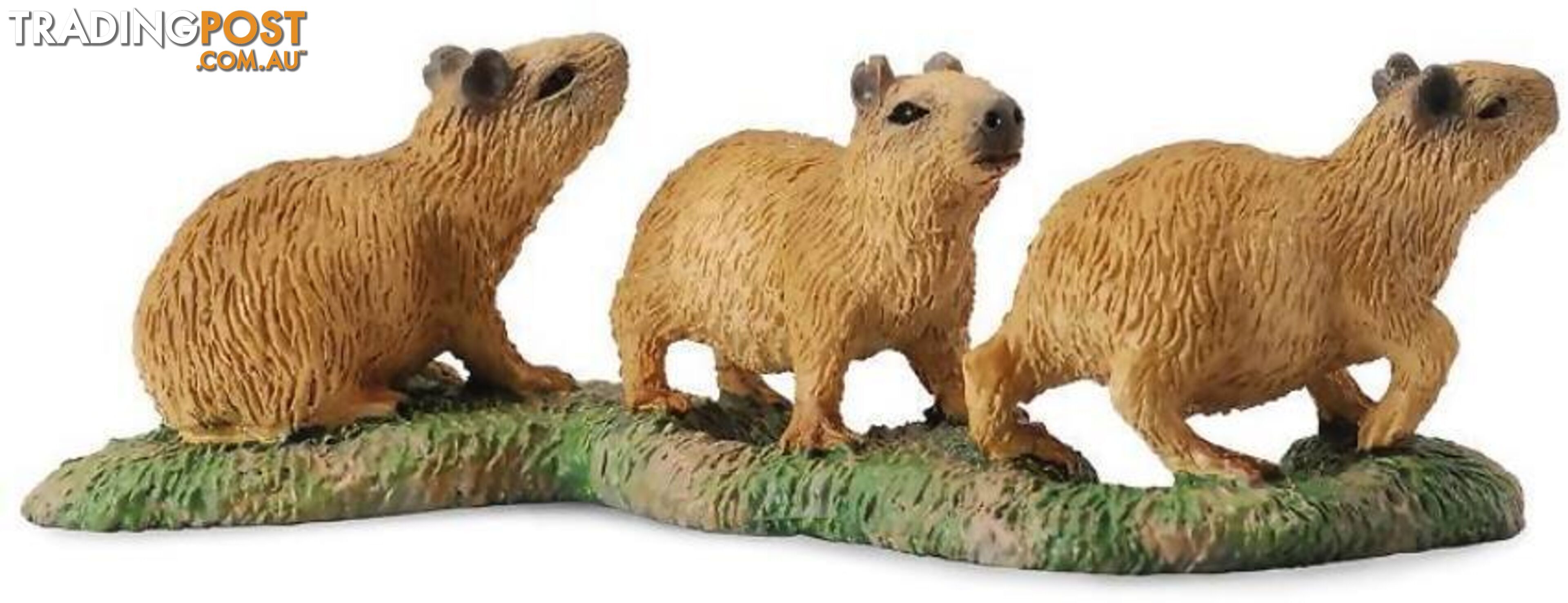 CollectA - Capybara Babies Small Animal Figurine - Rpco88541 - 4892900885414