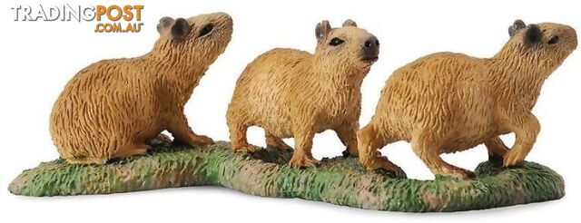 CollectA - Capybara Babies Small Animal Figurine - Rpco88541 - 4892900885414