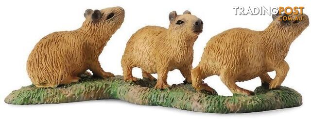 CollectA - Capybara Babies Small Animal Figurine - Rpco88541 - 4892900885414
