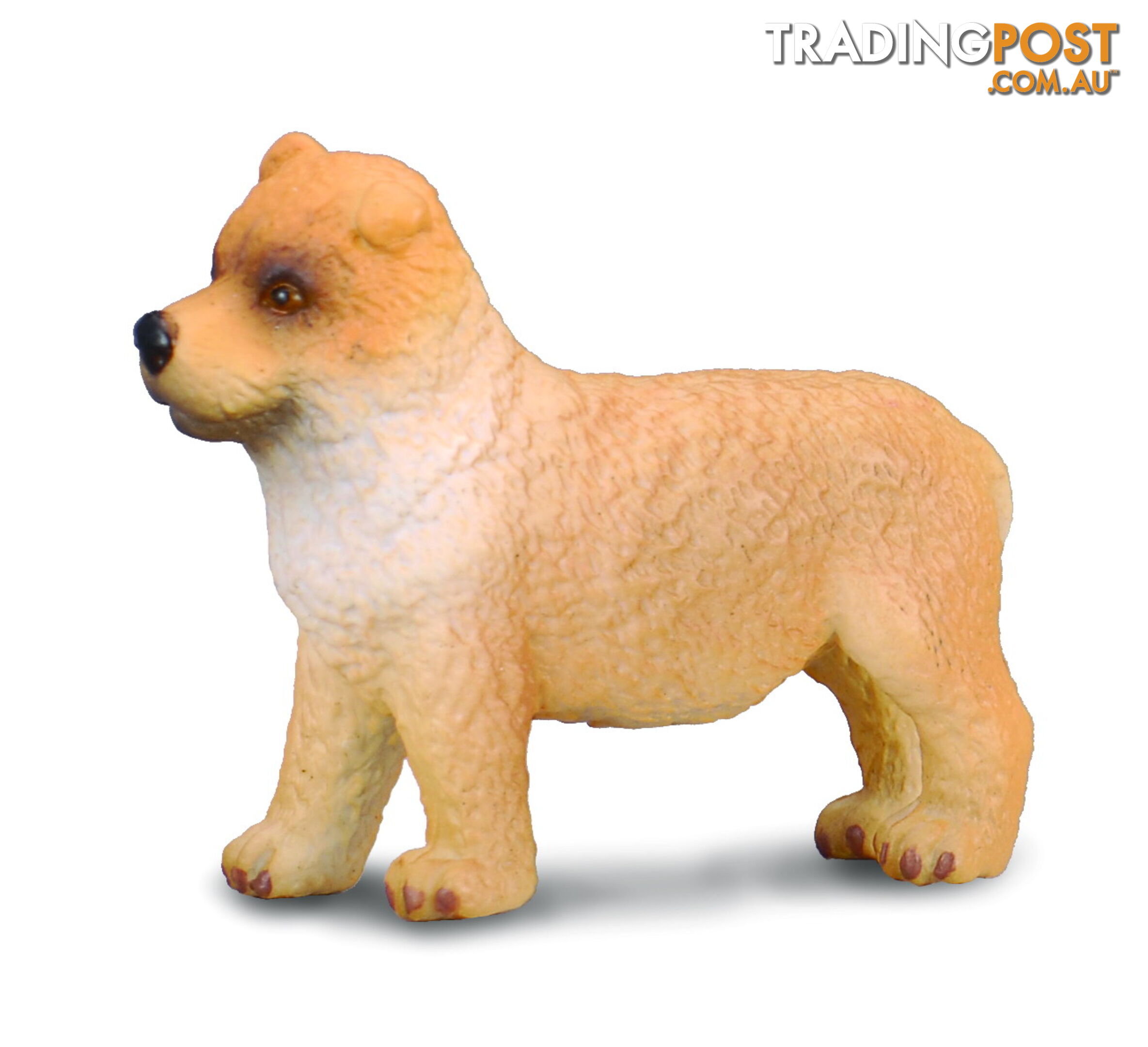 CollectA Chow Chow Puppy Dog Animal Figurine - Rpco88184 - 4892900881843