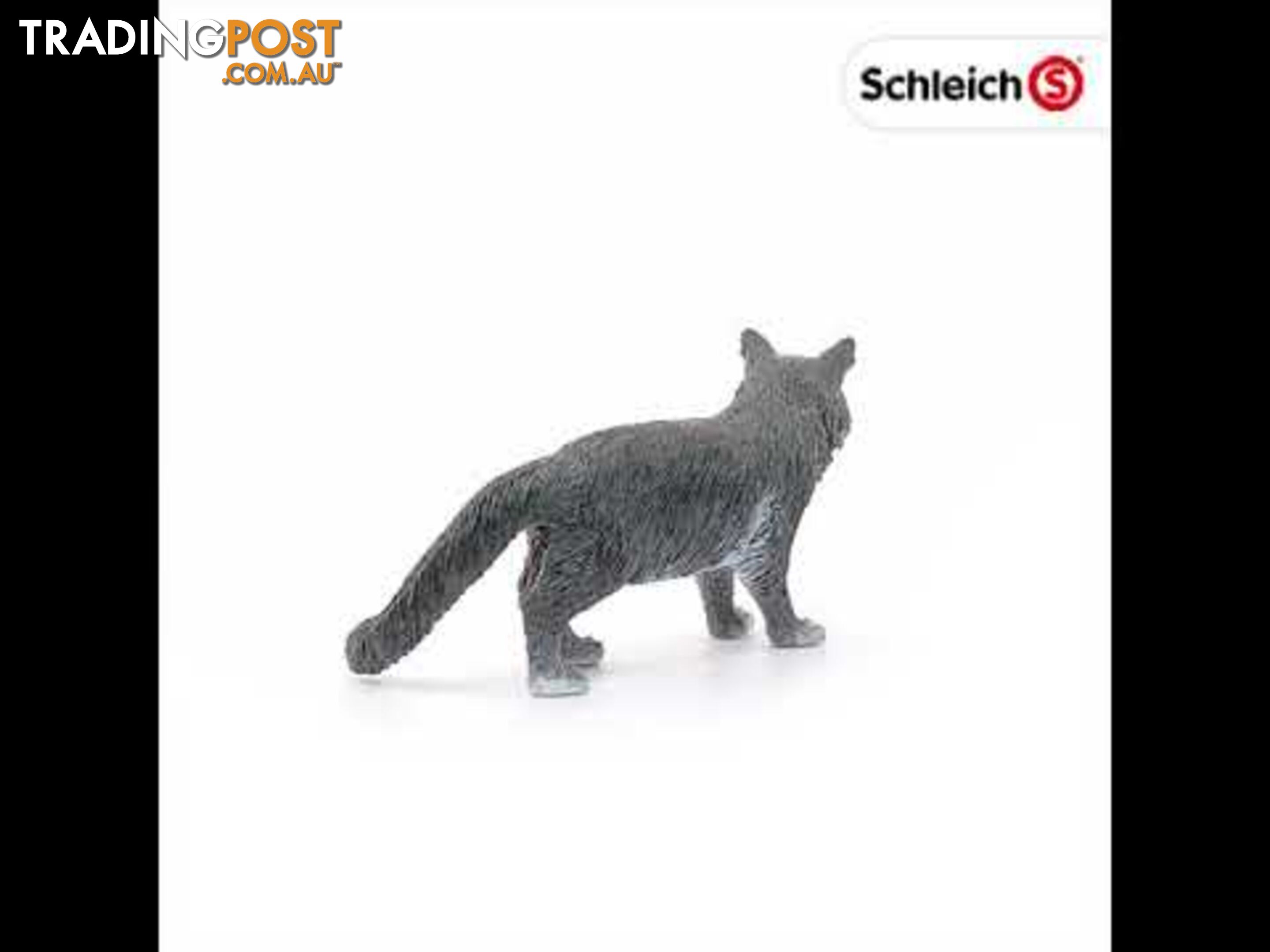 Schleich - Maine Coon Cat Sc13893 - 4055744029592