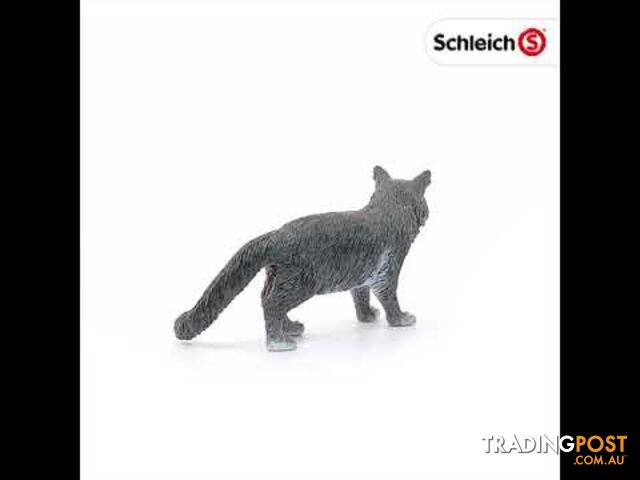 Schleich - Maine Coon Cat Sc13893 - 4055744029592