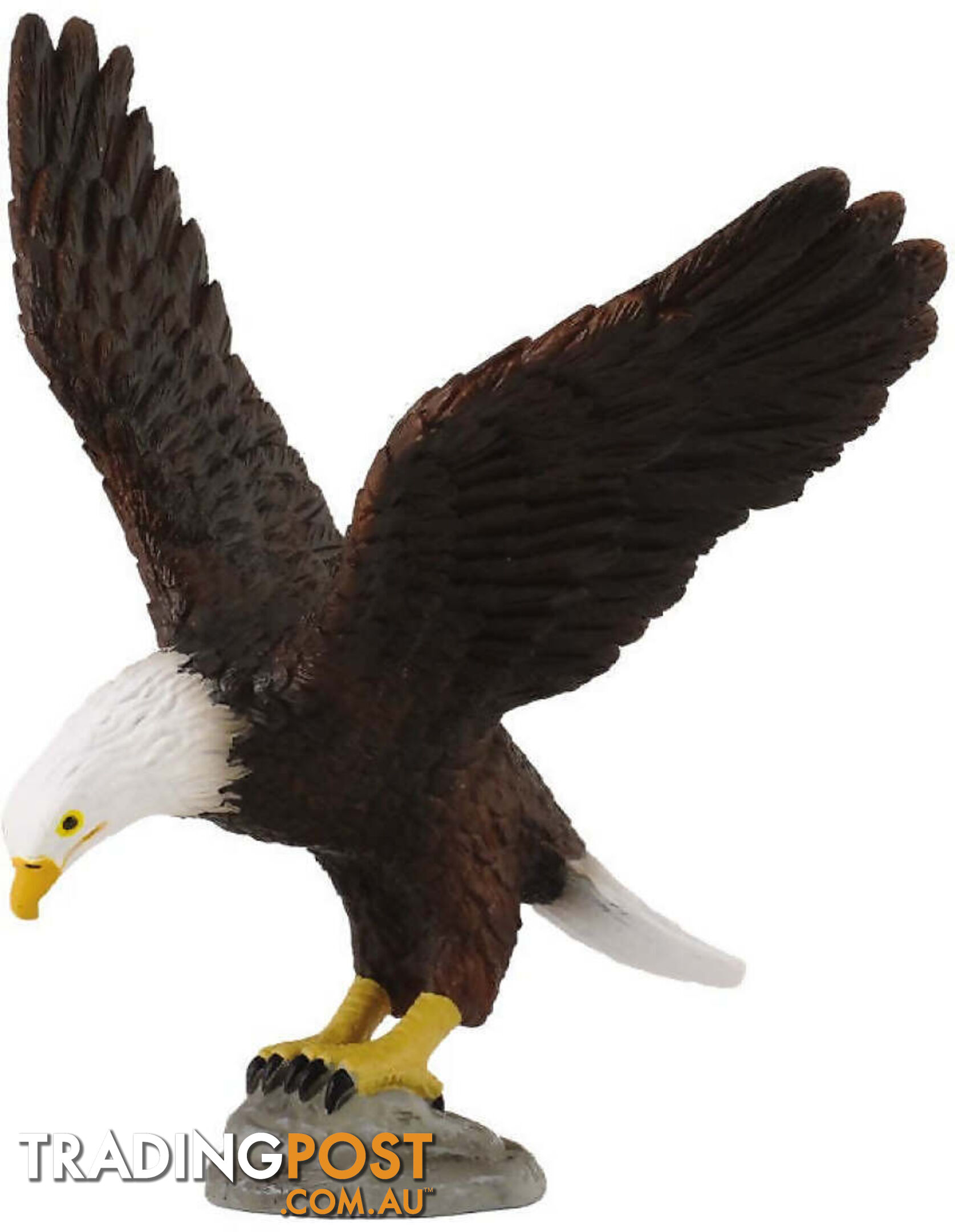CollectA - American Bald Eagle Bird Figurine - Rpco88383 - 4892900883830