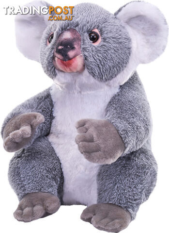 Wild Republic - Plush Koala Artist Collection 30cm - Wr27560 - 092389275605