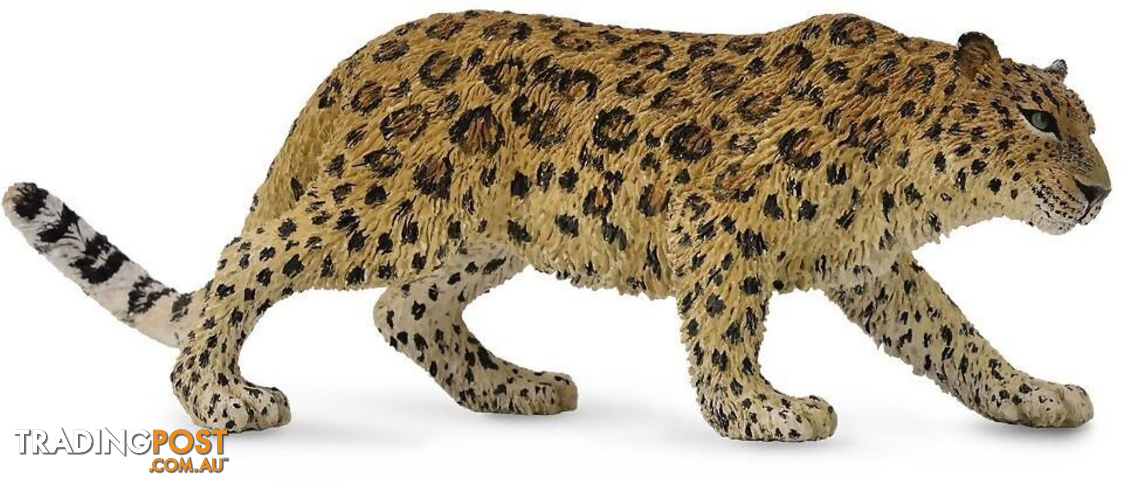 CollectA - Amur Leopard Extra Large Wild Animal Figurine - Rpco88708 - 4892900887081