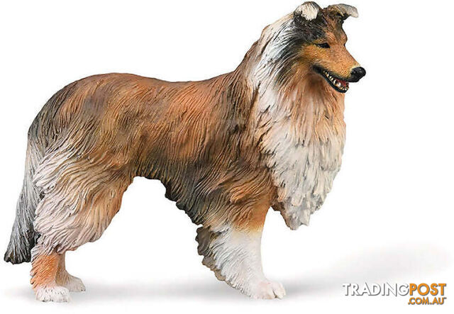 CollectA - Rough Collie Dog Large Figurine - Rpco88997 - 4892900889979