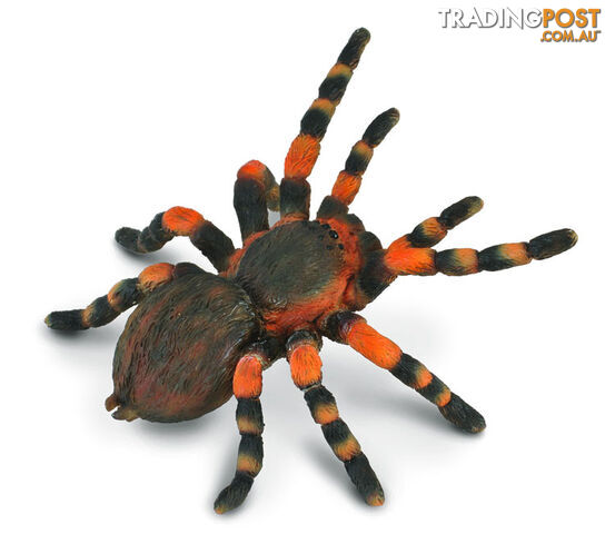 CollectA Mexican Red Knee Tarantula Spider Animal Figurine - Rpco88338 - 4892900883380