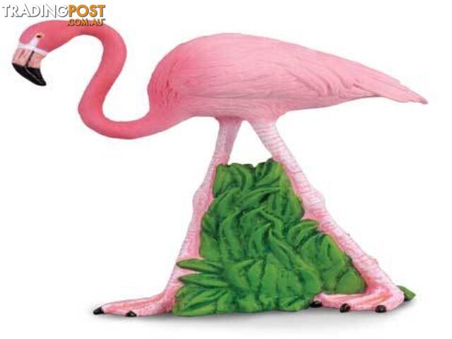 CollectA Flamingo - Rpco88207 - 4892900882079