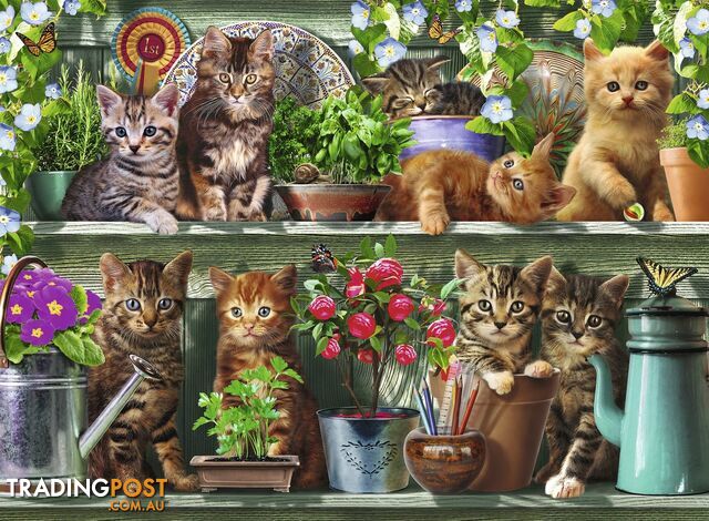 Ravensburger - Cats On The Shelf Jigsaw Puzzle 500 Piece Rb14824 - 4005556148240