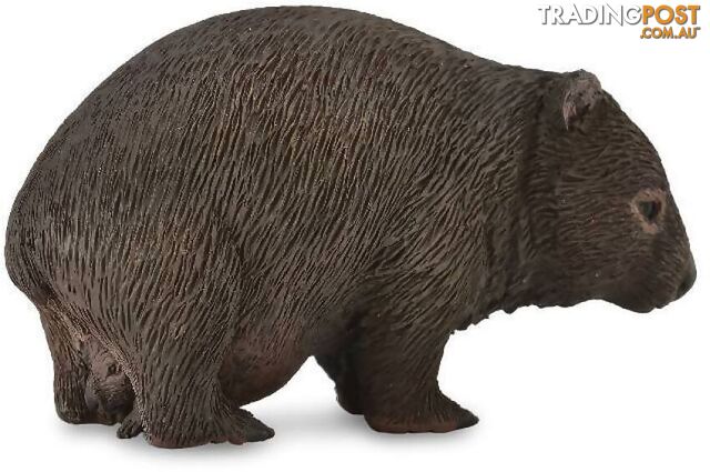 CollectA - Australian Wombat Medium Animal Figurine - Rpco88756 - 4892900887562
