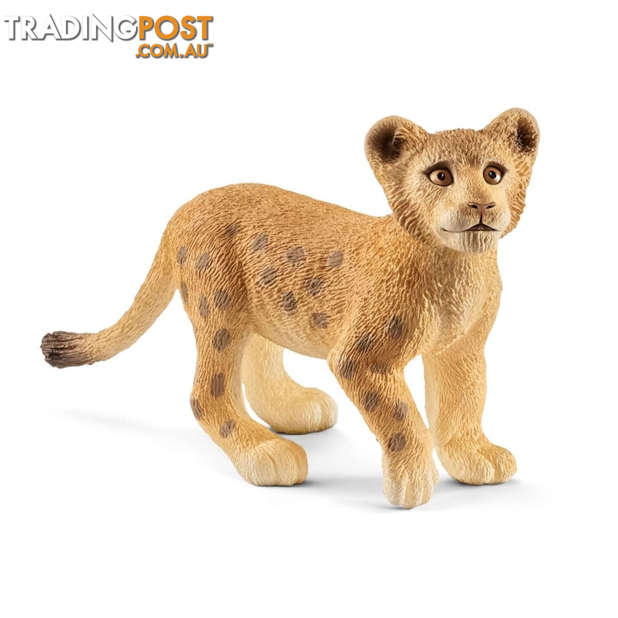 Schleich - Lion Cub Sc14813 - 4055744020810