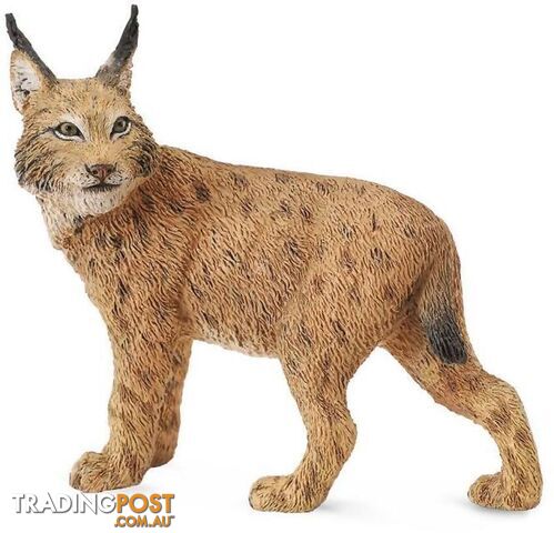CollectA - Lynx Large Figurine - Rpco88565 - 4892900885650