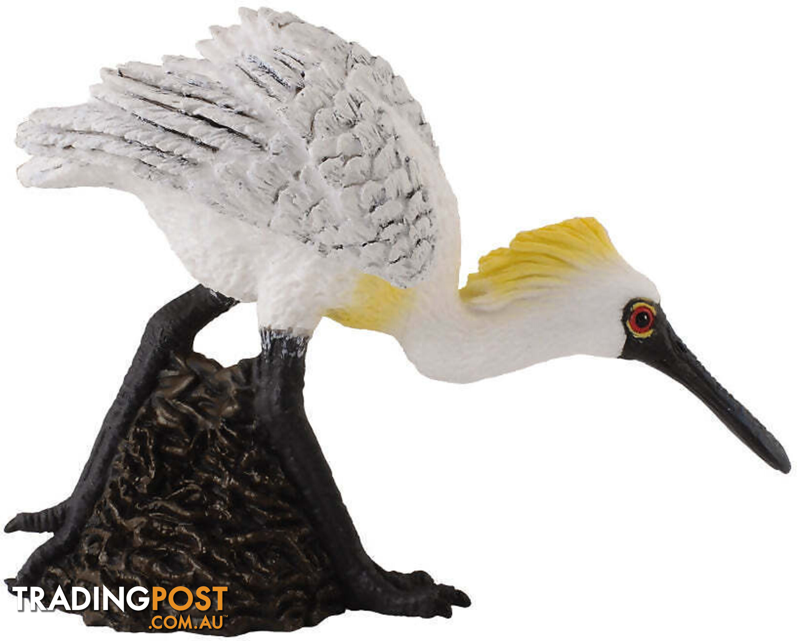 CollectA - Black Faced Spoonbill Walking Figurine - Rpco88397 - 4892900883977