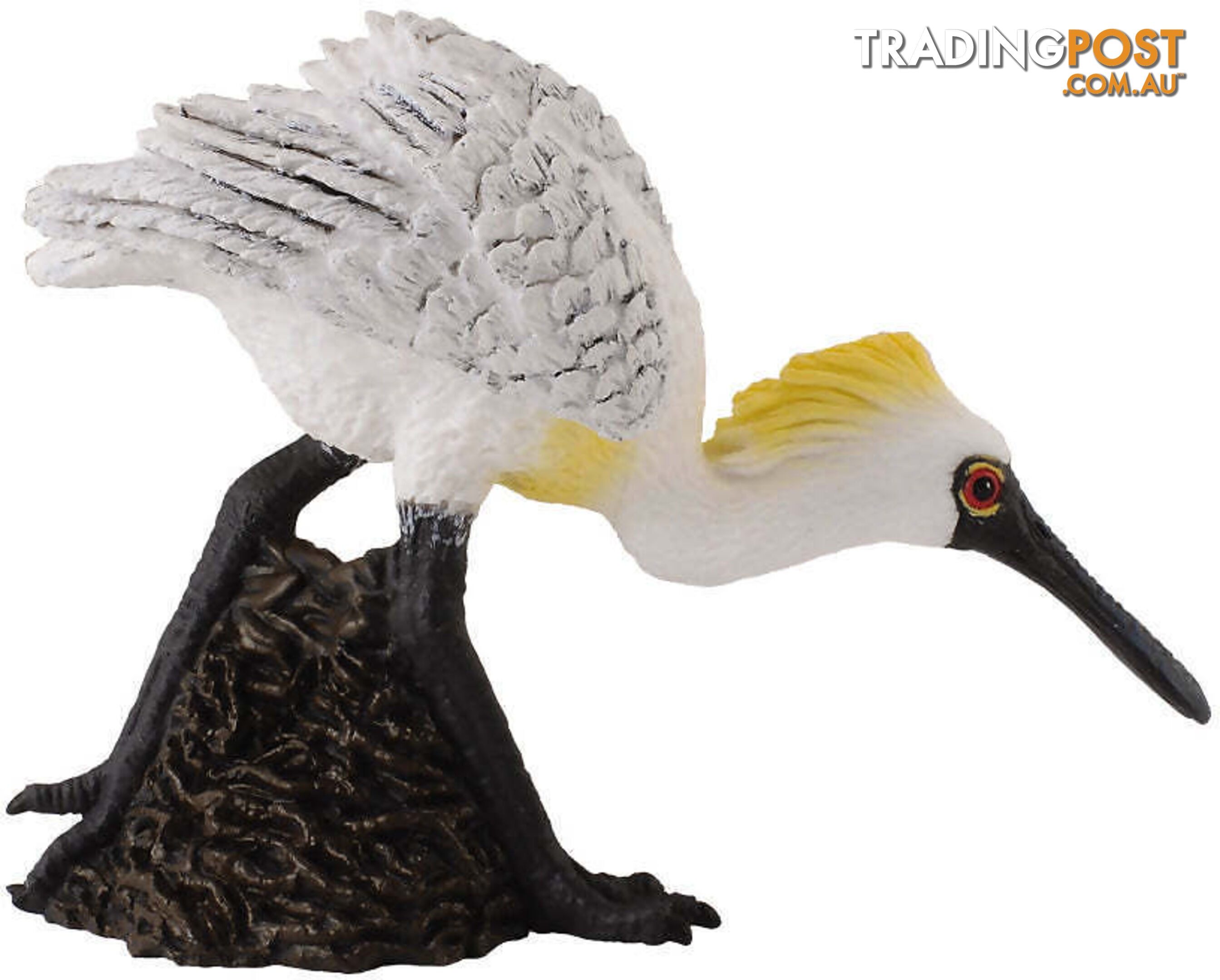 CollectA - Black Faced Spoonbill Walking Figurine - Rpco88397 - 4892900883977