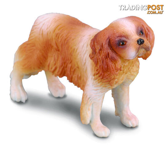CollectA Cavalier King Charles Spaniel Dog Animal Figurine - Rpco88181 - 4892900881812