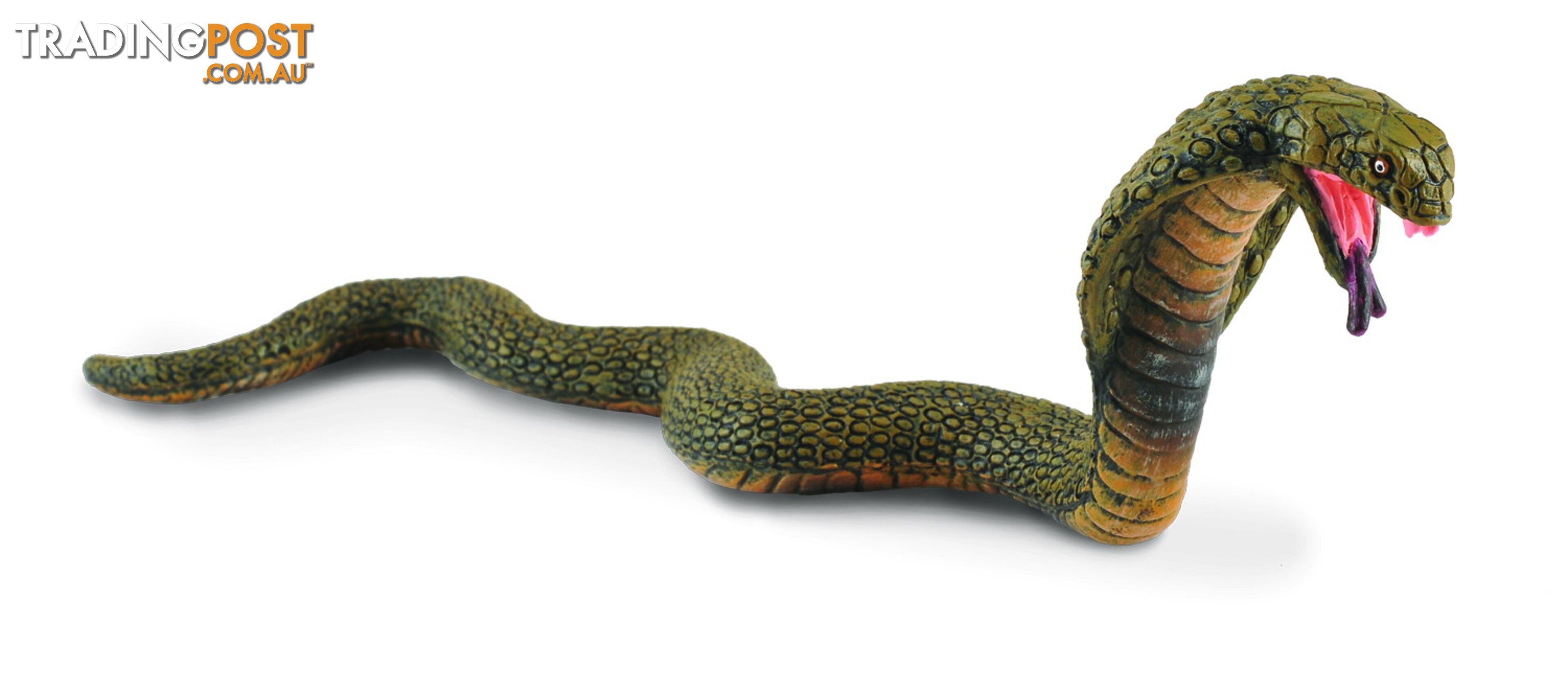 CollectA King Cobra Snake Medium Animal Figurine - Rpco88230 - 4892900882307