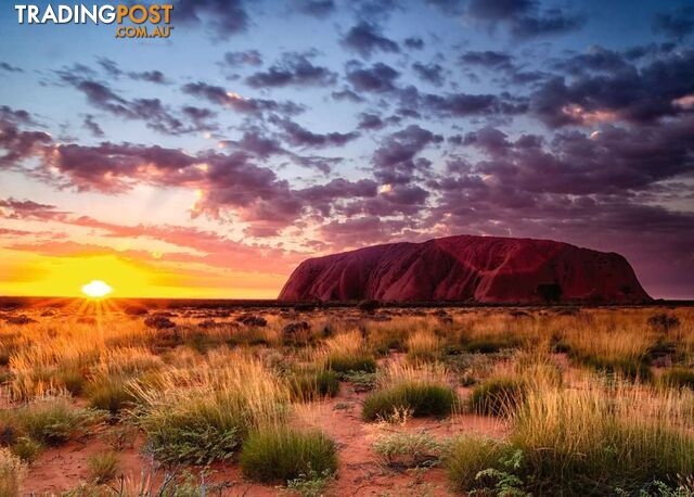 Ravensburger - Ayers Rock Australia Jigsaw Puzzle 1000 Piece Rb15155 - 4005556151554