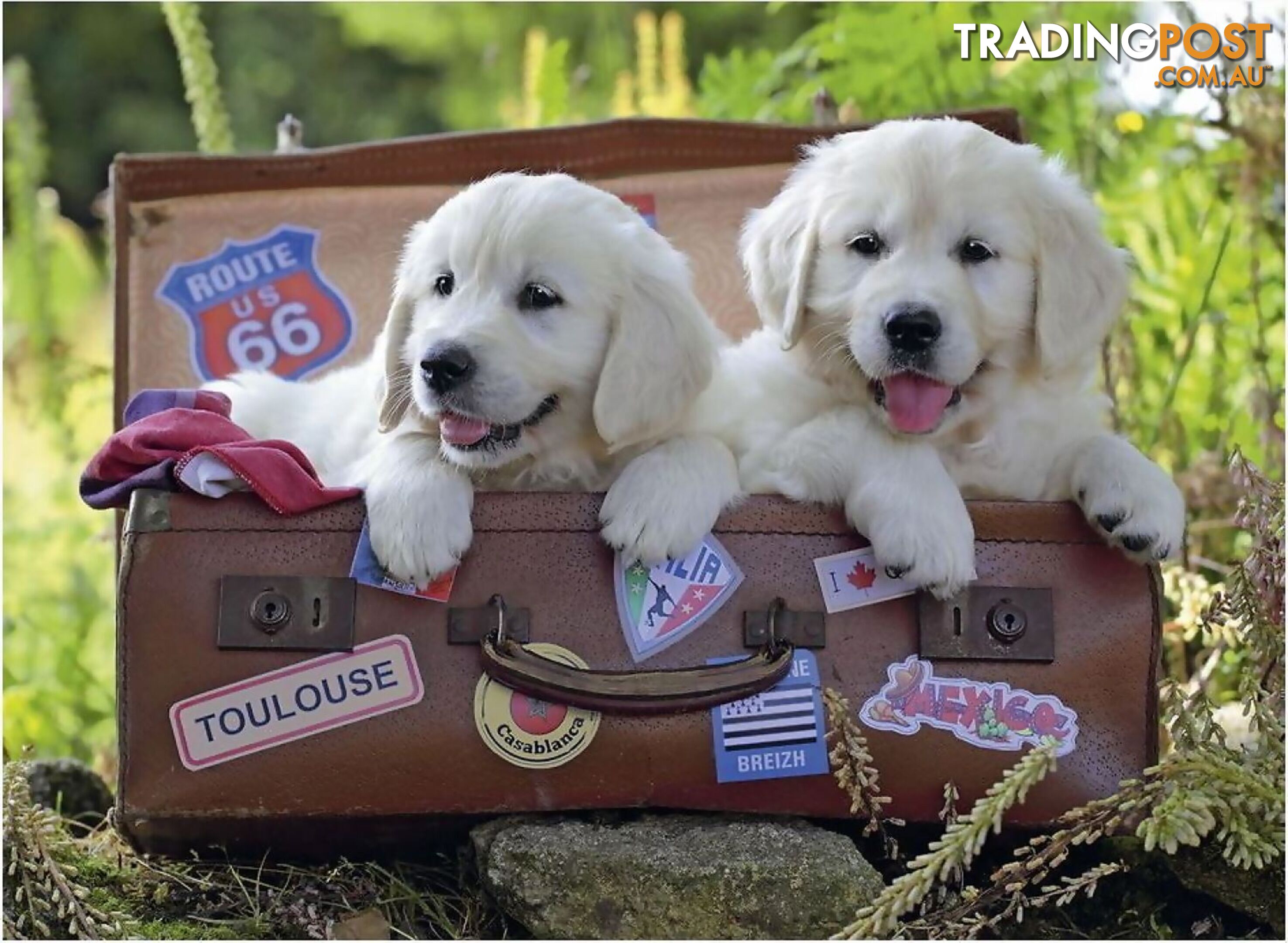 Ravensburger - Travelling Puppies Jigsaw Puzzle 100pc - Mdrb10538 - 4005556105380