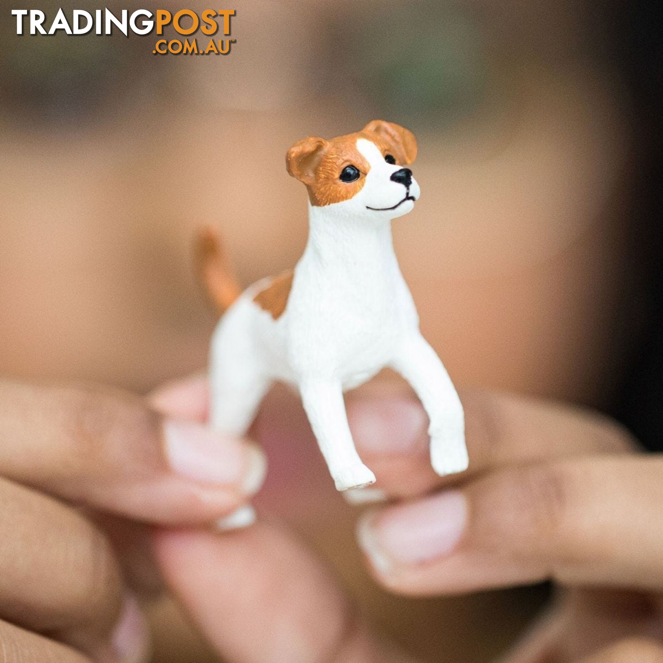 Schleich - Jack Russell Terrier  Farm World Animal Figurine Sc13916 - 4059433141954