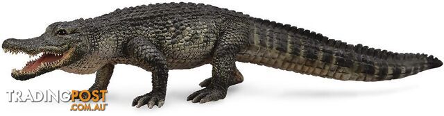 CollectA - American Alligator Large Animal Figurine - Rpco88609 - 4892900886091