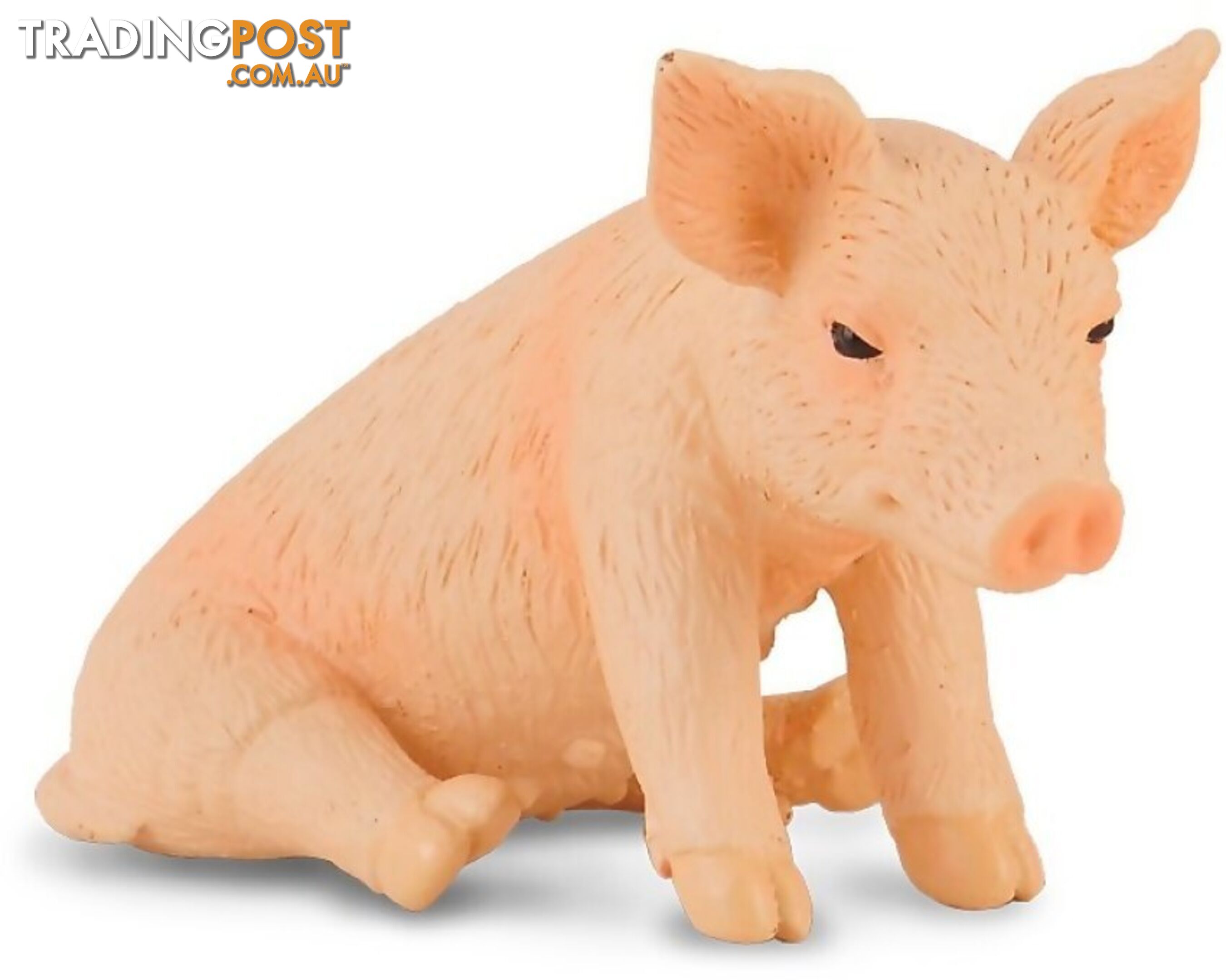 CollectA - Piglet Sitting Animal Small Figurine - Rpco88345 - 4892900883458