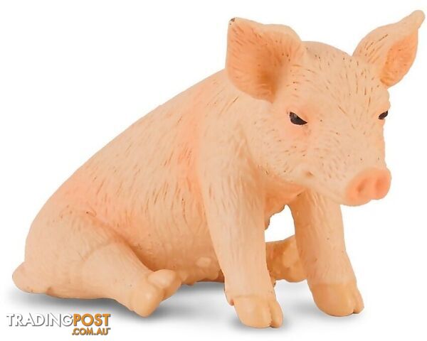 CollectA - Piglet Sitting Animal Small Figurine - Rpco88345 - 4892900883458