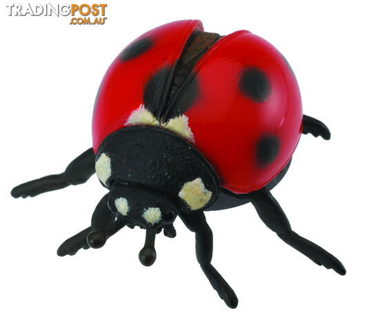 CollectA Ladybird Animal Figurine - Rpco88474 - 4892900884745