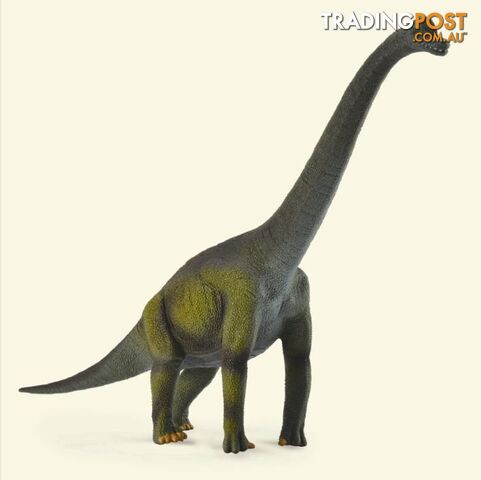 CollectA Brachiosaurus Large Dinosaur Figurine - Rpco88121 - 4892900881218