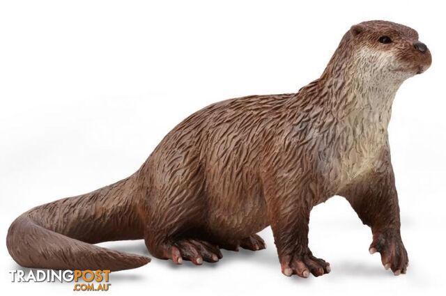 CollectA Common Otter Animal Figurine - Rpco88941 - 4892900889412