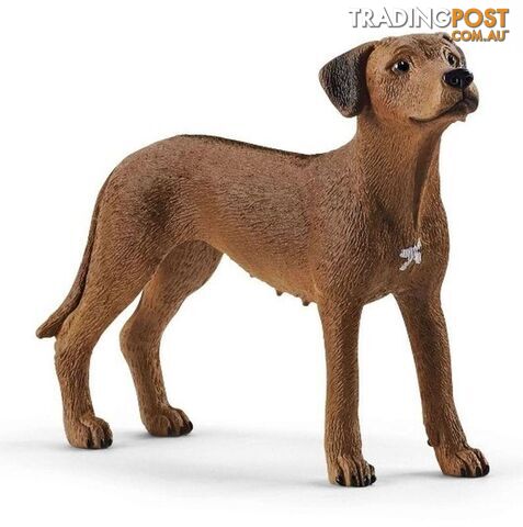 Schleich - Rhodesian Ridgeback Sc13895 - 4059433007229