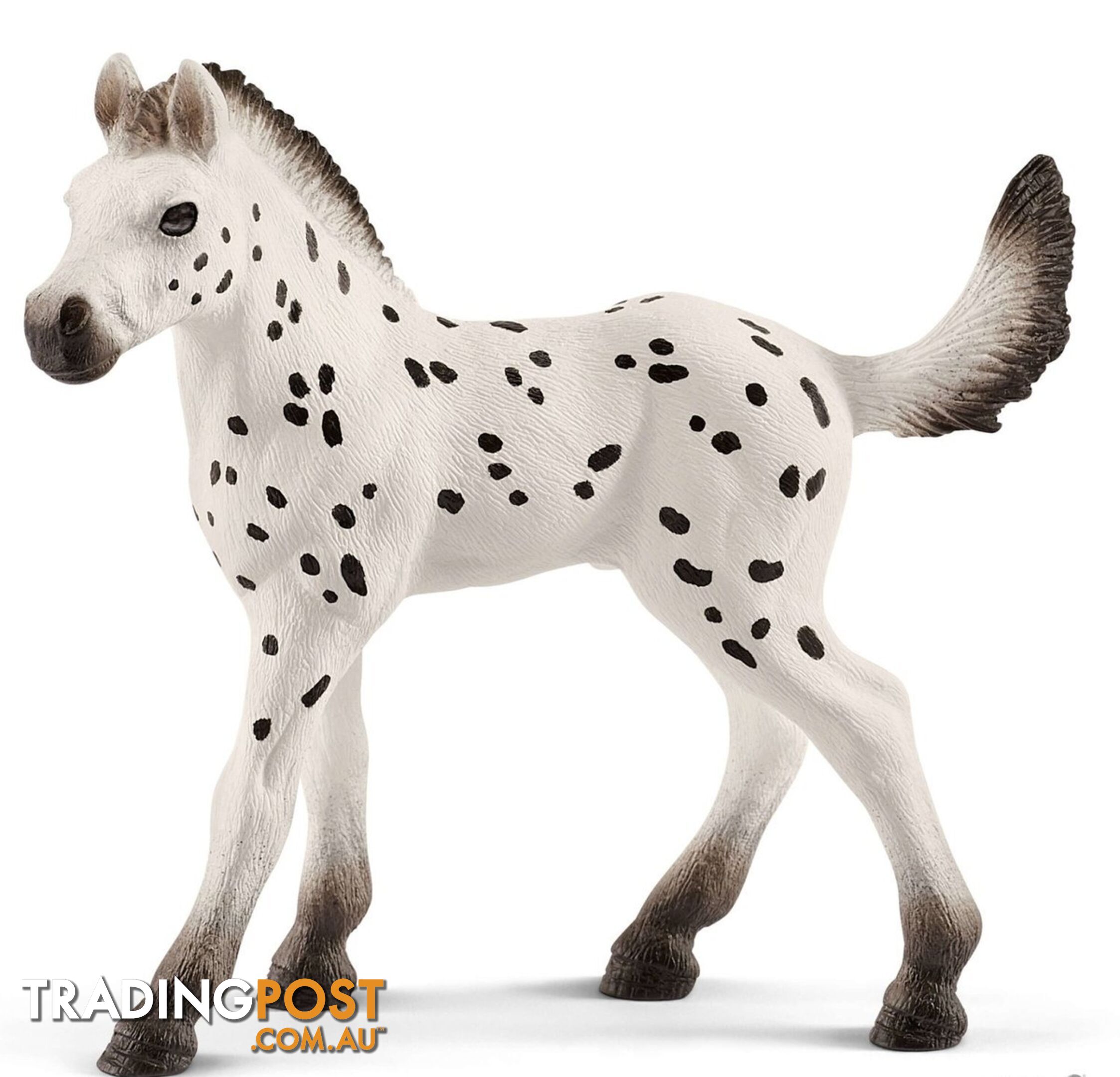 Schleich - Knapstrupper Foal Sc13890 - 4055744029462