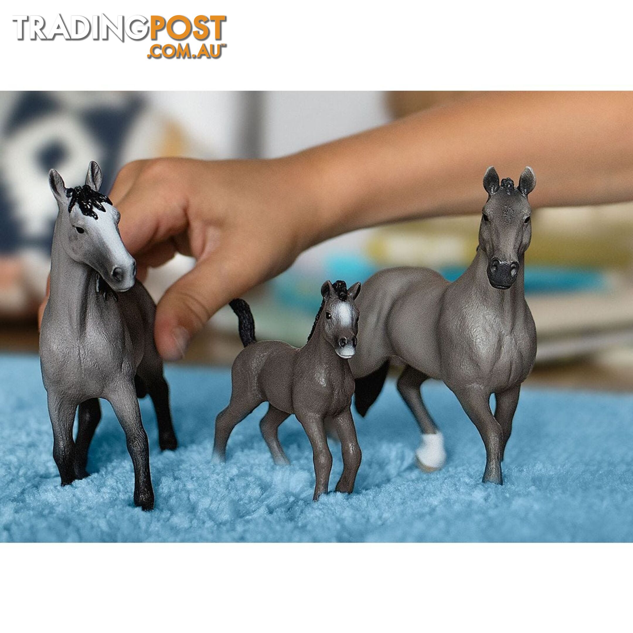 Schleich - Selle Francais Mare Horse Figurine - Mdsc13955 - 4059433552255