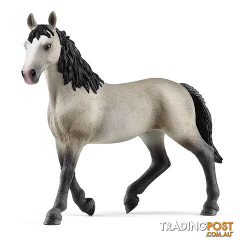 Schleich - Selle Francais Mare Horse Figurine - Mdsc13955 - 4059433552255