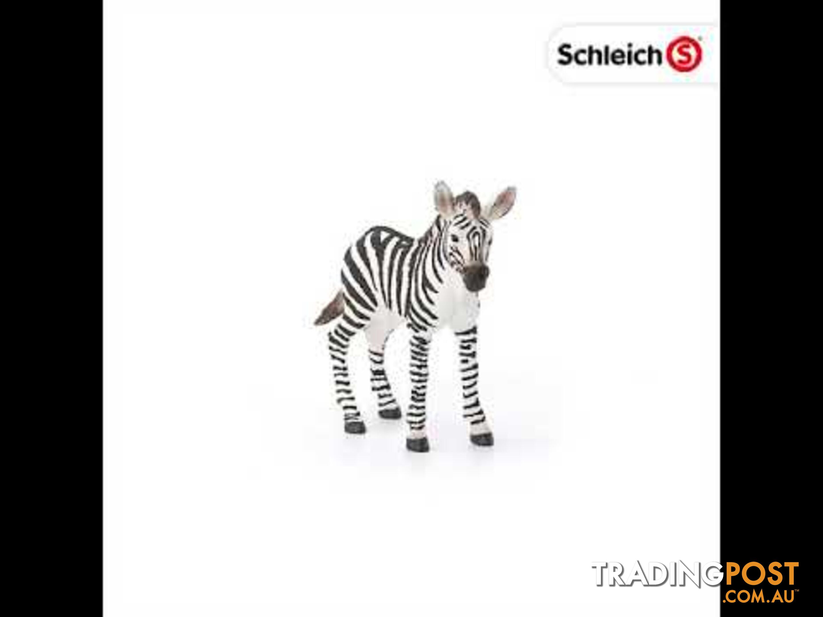 Schleich - Zebra Foal Sc14811 - 4055744020797